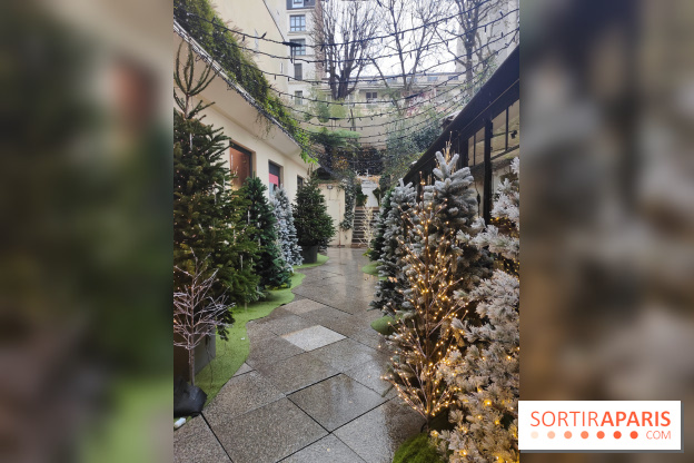 Noël danois à la Maison du Danemark : un voyage culturel pour les fêtes sur les Champs-Elysées - fotor 1764846318214