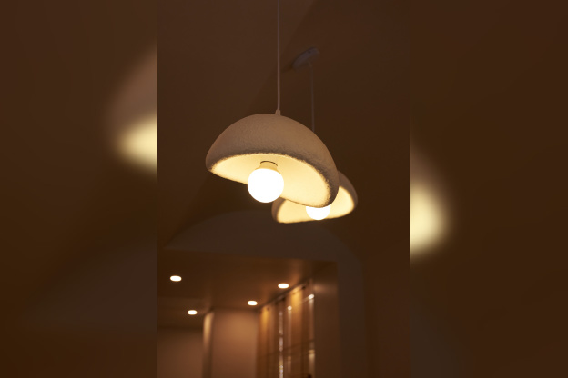 Campagne #36164 -  DSC7267