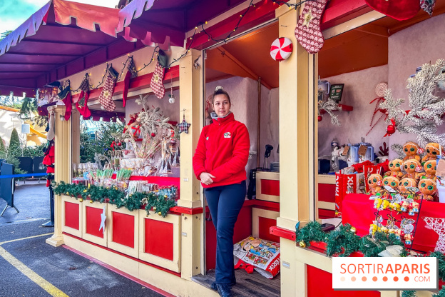 Noël au Parc Astérix 2025, patinoire et marché de Noël  - IMG 7450