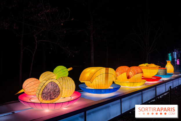 Le Japon en Lumières : le parcours lumineux et festival des lanternes 2025 du Jardin d'Acclimatation - IMG 4937