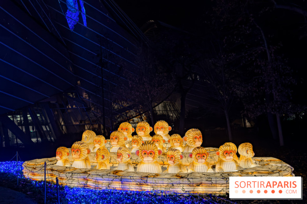 Le Japon en Lumières : le parcours lumineux et festival des lanternes 2025 du Jardin d'Acclimatation - IMG 5016