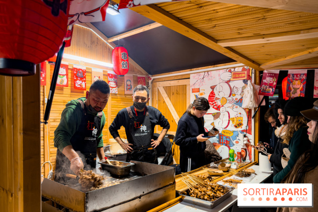 Le Japon en Lumières : le parcours lumineux et festival des lanternes 2025 du Jardin d'Acclimatation - IMG 5036