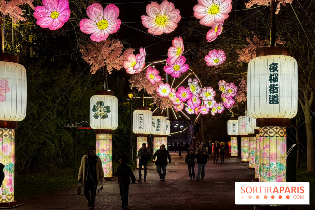 Le Japon en Lumières : le parcours lumineux et festival des lanternes 2025 du Jardin d'Acclimatation - IMG 5079