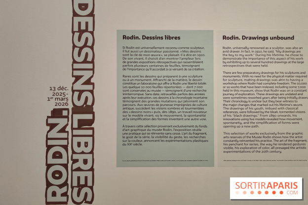 Rodin, dessins libres : une exposition d'œuvres rarement montrées au musée Rodin se dévoile - fotor 1765539583280