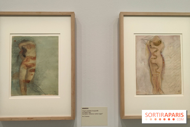 Rodin, dessins libres : une exposition d'œuvres rarement montrées au musée Rodin se dévoile