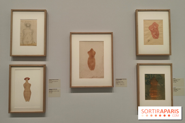 Rodin, dessins libres : une exposition d'œuvres rarement montrées au musée Rodin se dévoile