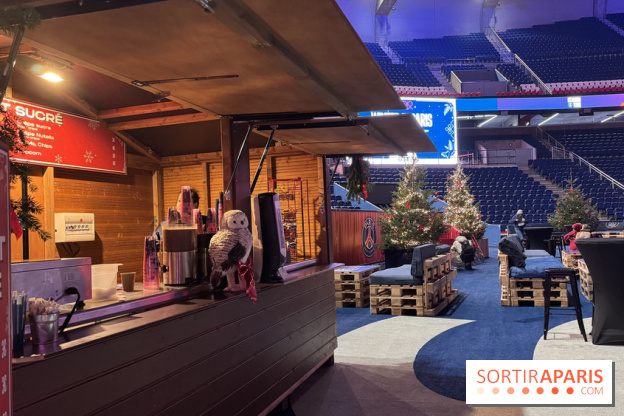 Patinoire au Parc des Princes - IMG 4427