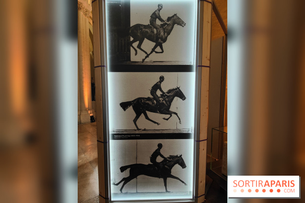 Zeus, chef d'œuvre d'artisans : une exposition sur le cheval des JO au musée des Arts et Métiers