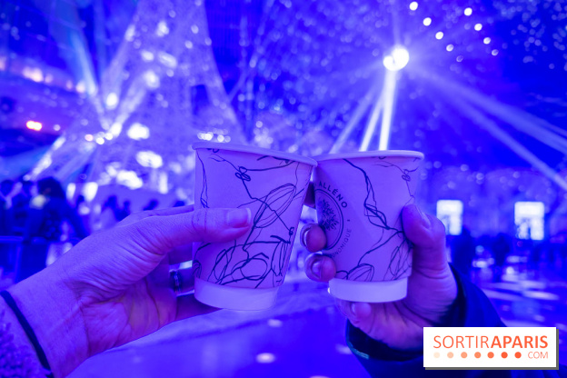 Le Grand Palais des Glaces 2025 - les photos - IMG 8111