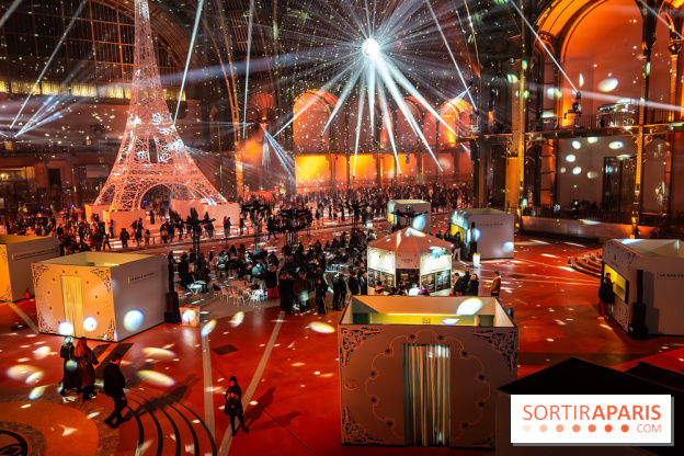 Le Grand Palais des Glaces 2025 - les photos - IMG 8118