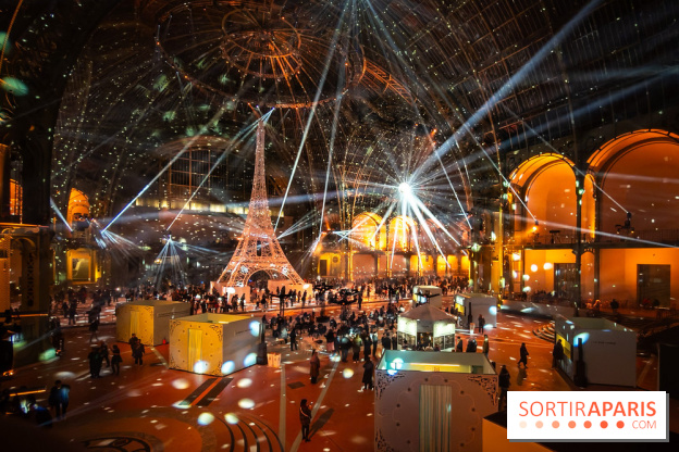 Le Grand Palais des Glaces 2025 - les photos - IMG 8121