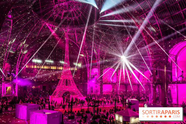 Le Grand Palais des Glaces 2025 - les photos - IMG 8137