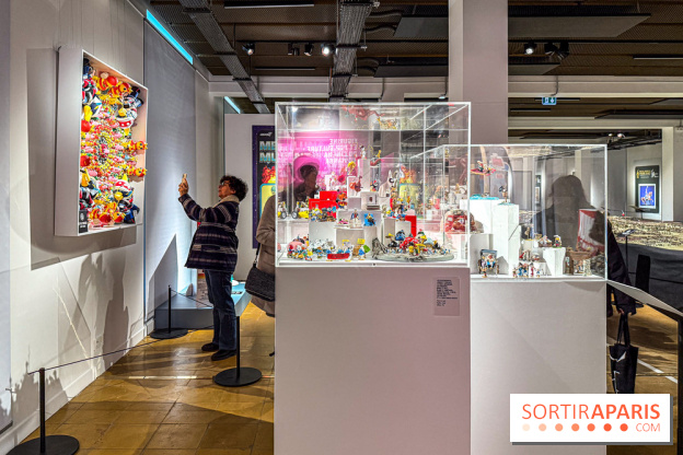 L'Univers des Figurines à l'Ancienne Poste de Versailles - IMG 2509