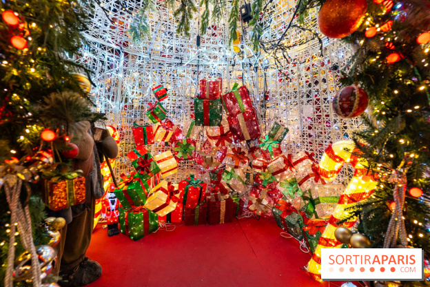 Ce passionné en Essonne transforme son jardin en Village de Noël à visiter gratuitement