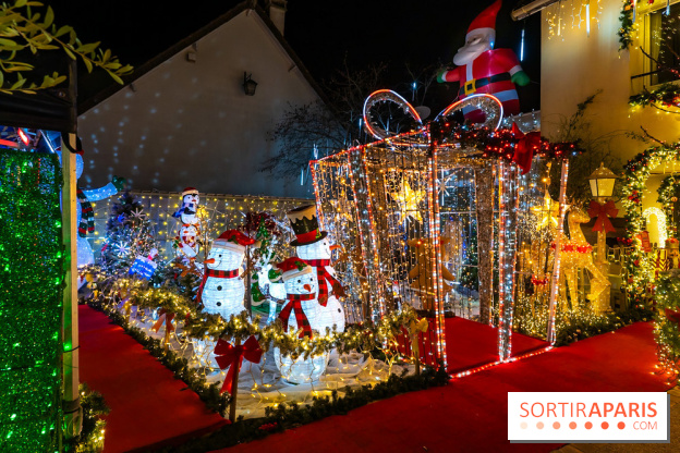 Ce passionné en Essonne transforme son jardin en Village de Noël à visiter gratuitement