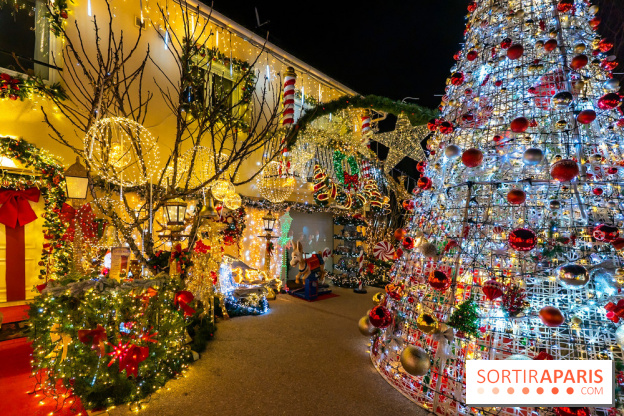 Ce passionné en Essonne transforme son jardin en Village de Noël à visiter gratuitement