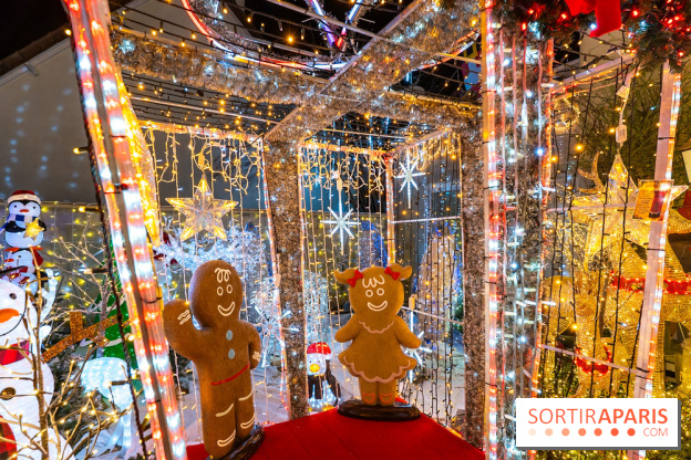 Ce passionné en Essonne transforme son jardin en Village de Noël à visiter gratuitement