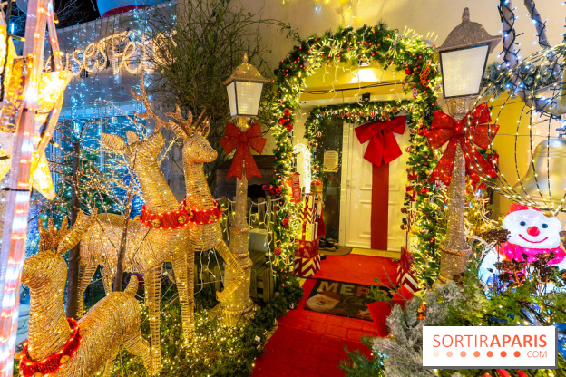 Ce passionné en Essonne transforme son jardin en Village de Noël à visiter gratuitement