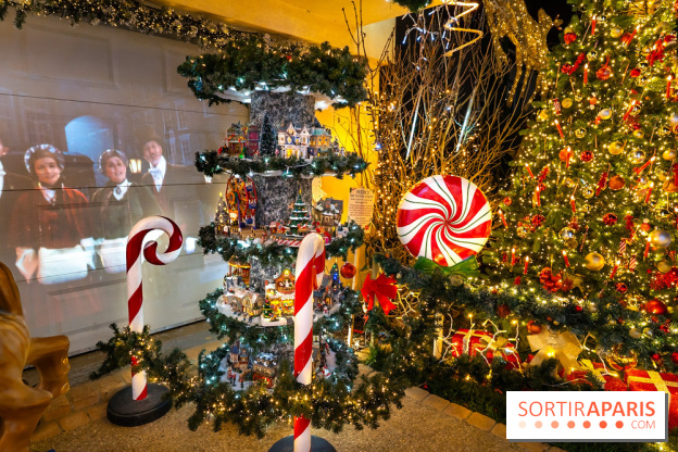 Ce passionné en Essonne transforme son jardin en Village de Noël à visiter gratuitement