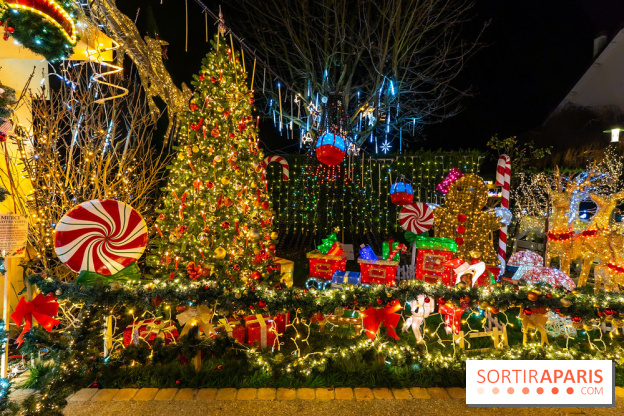 Ce passionné en Essonne transforme son jardin en Village de Noël à visiter gratuitement