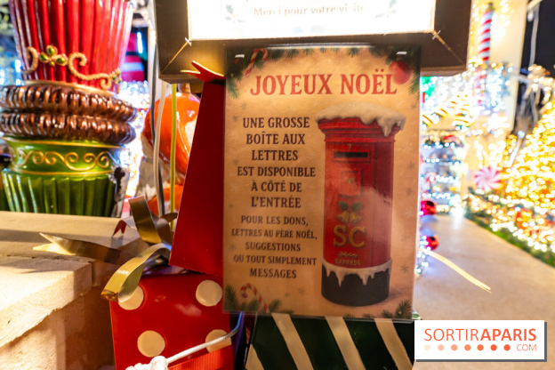 Ce passionné en Essonne transforme son jardin en Village de Noël à visiter gratuitement