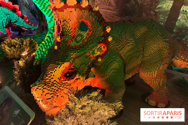 Dinosaures LEGO - IMG 2009