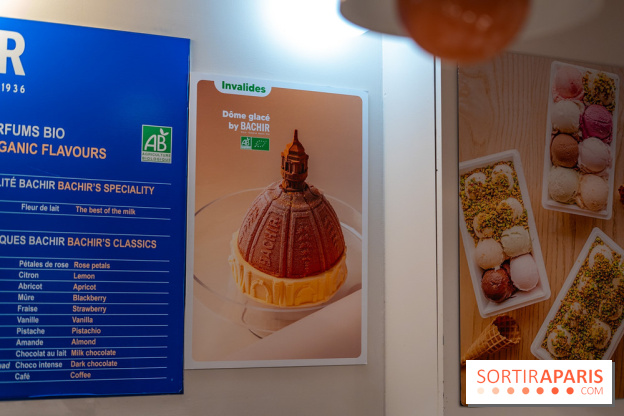 Les bûches de Noël glacées de Bachir spécial dômes parisiens  - A7C03255