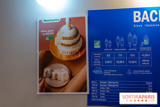 Les bûches de Noël glacées de Bachir spécial dômes parisiens  - A7C03256