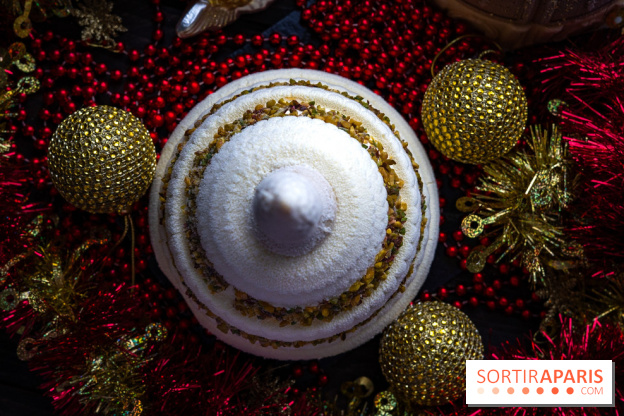 Les bûches de Noël glacées de Bachir spécial dômes parisiens  - A7C03428