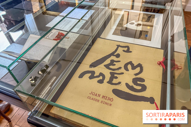 Claude Simon au Musée Lambinet : nos photos de l'exposition à Versailles - IMG 2919