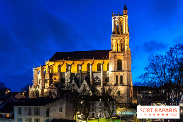 Lueurs de Mantes 2026, les photos du parcours lumineux gratuit des Yvelines
