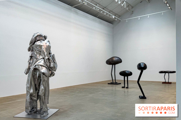 Erwin Wurm - Tomorrow yes : l'exposition gratuite à la galerie Thaddaeus Ropac, à Pantin (93) - IMG 9187