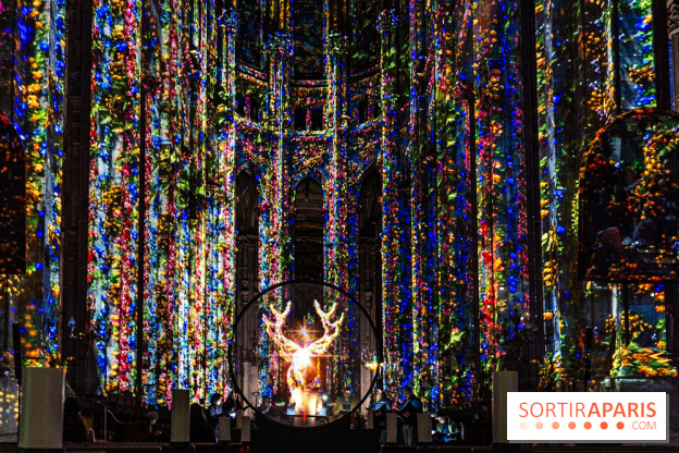 L'Odyssée Céleste à l'église Saint-Eustache à Paris, le nouveau spectacle Luminiscence 