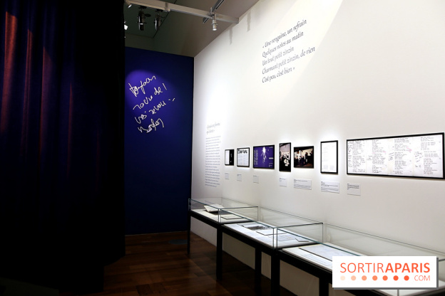 Dis quand reviendras-tu ? Barbara et son public, nos photos de l'exposition à la BnF François-Mitterrand  - Barbara Expo 7 fotor 2026012715484