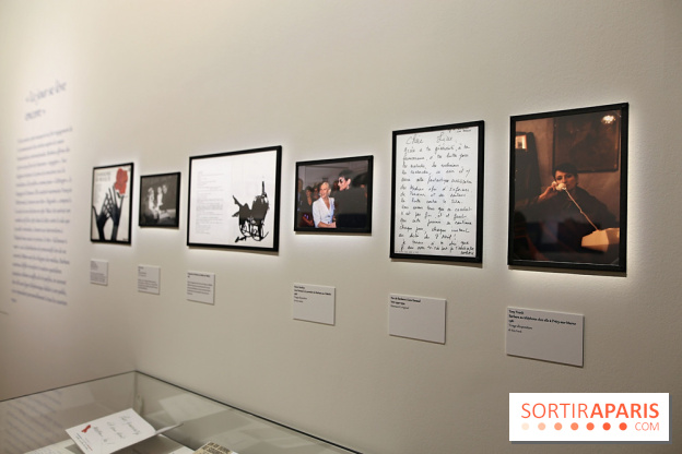 Dis quand reviendras-tu ? Barbara et son public, nos photos de l'exposition à la BnF François-Mitterrand  - Barbara Expo 15 fotor 20260127155417