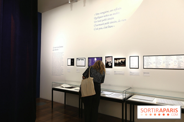 Dis quand reviendras-tu ? Barbara et son public, nos photos de l'exposition à la BnF François-Mitterrand  - Barbara Expo 17 fotor 20260127155239