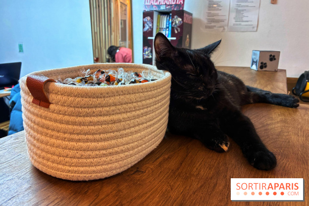 Le Chatelier  - IMG 2470