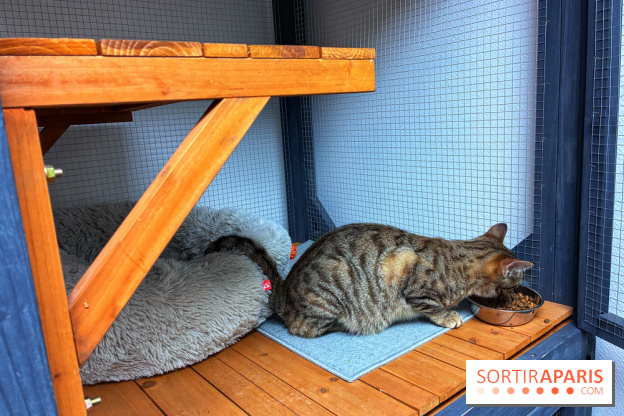 Le Chatelier  - IMG 2474