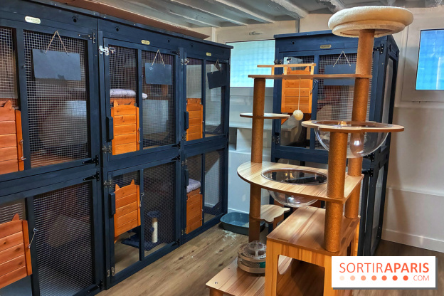 Le Chatelier  - IMG 2476