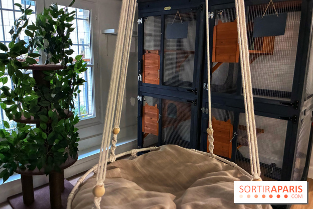 Le Chatelier  - IMG 2483