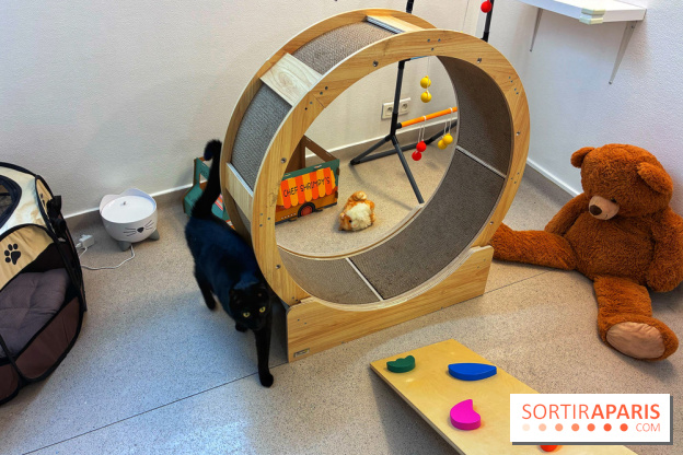 Le Chatelier  - IMG 2484