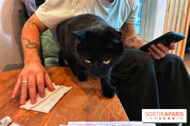 Le Chatelier  - IMG 2498