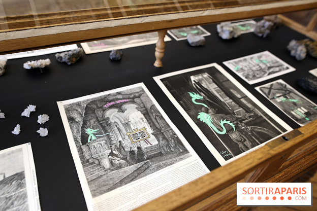 Codex on the Rocks, nos photos de l'expo au Musée de Minéralogie à Paris