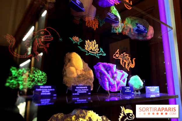 Codex on the Rocks, nos photos de l'expo au Musée de Minéralogie à Paris
