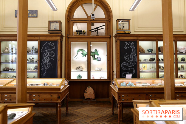 Codex on the Rocks, nos photos de l'expo au Musée de Minéralogie à Paris