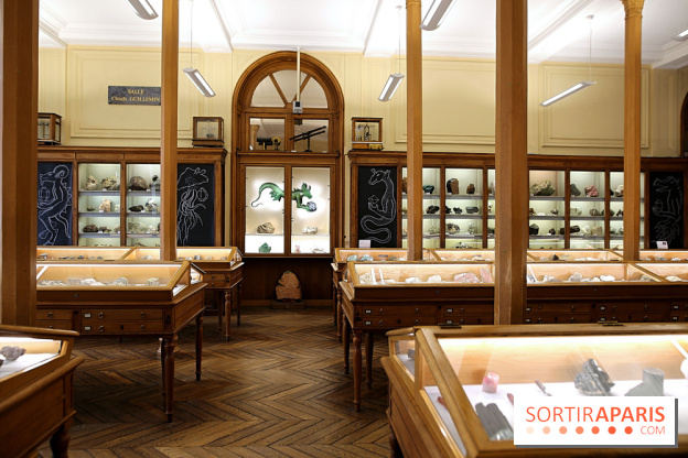 Codex on the Rocks, nos photos de l'expo au Musée de Minéralogie à Paris