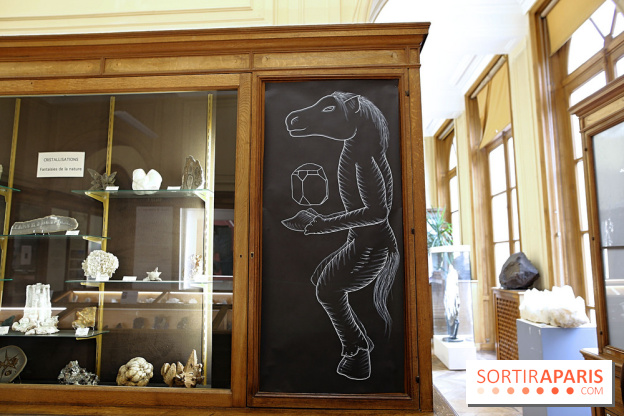 Codex on the Rocks, nos photos de l'expo au Musée de Minéralogie à Paris