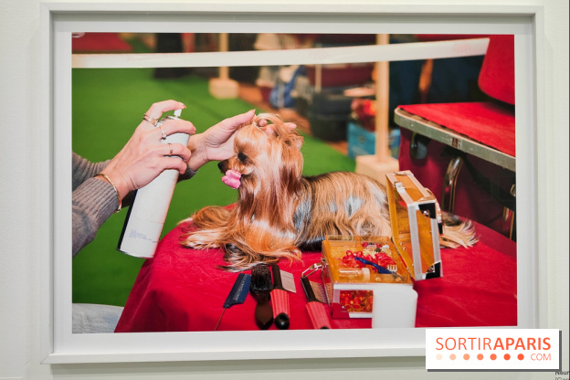 Global Warning : le photographe Martin Parr à l'honneur dans une exposition au Jeu de Paume - fotor 1769689888163