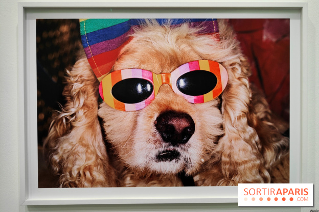 Global Warning : le photographe Martin Parr à l'honneur dans une exposition au Jeu de Paume - fotor 1769689947675