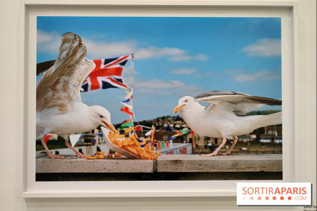 Global Warning : le photographe Martin Parr à l'honneur dans une exposition au Jeu de Paume - fotor 1769689992897
